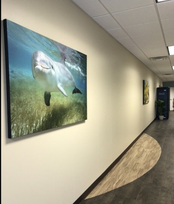 800 Mercy Dr, Orlando, Florida 32808, ,Medical Office,For Lease,Mercy,1079